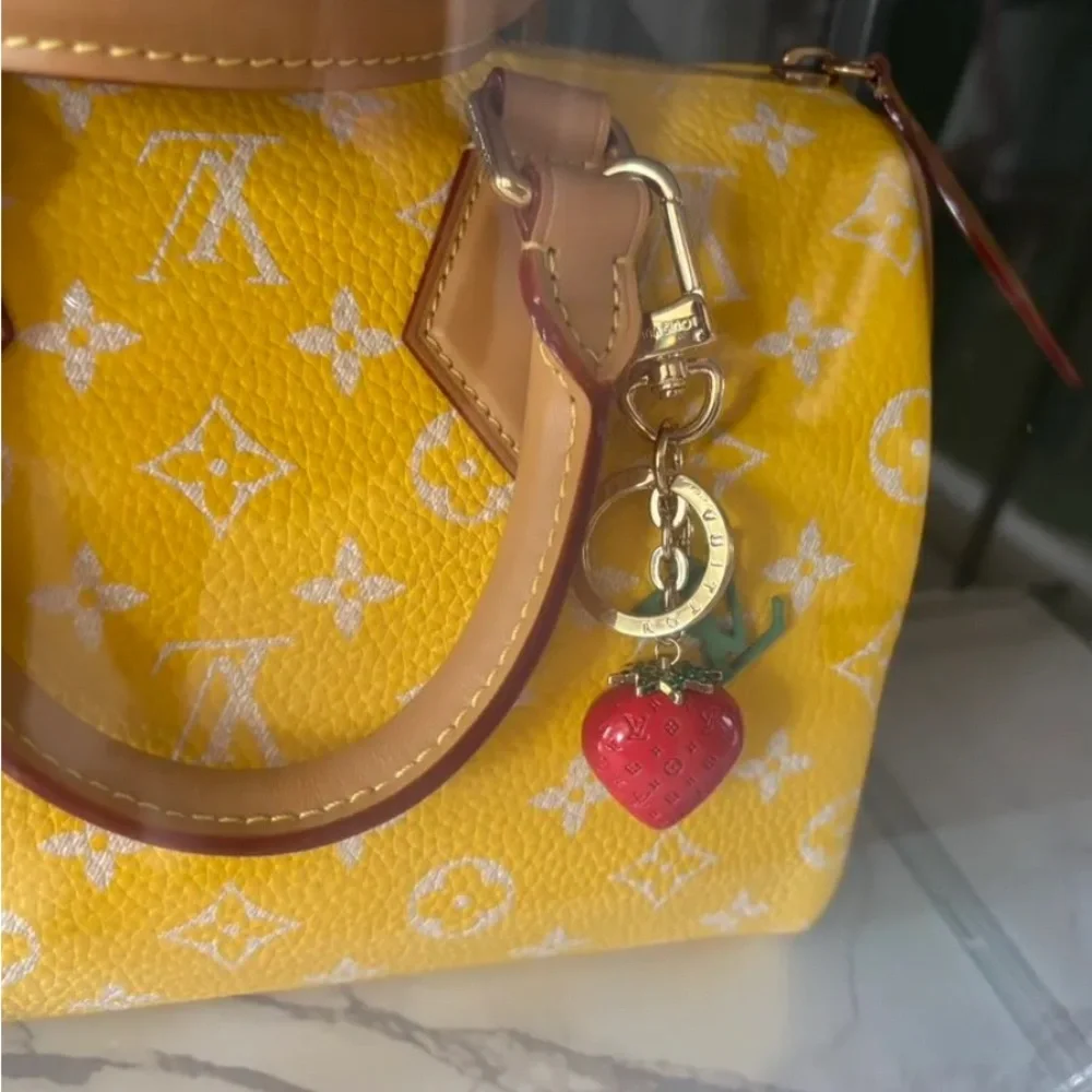 Louis Vuitton louis vuitton